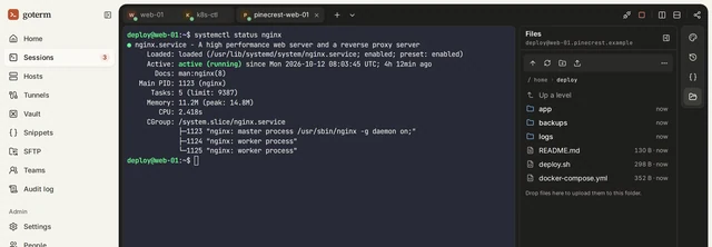 A terminal showing nginx running, beside GoTerm’s Files panel listing the deploy user’s home folder